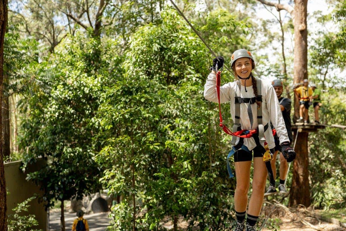 Currumbin Wildlife Sanctuary and TreeTop Challenge: Combo Ticket A person in safety gear smiles while ziplining through a forest; other people await on a platform in the background.