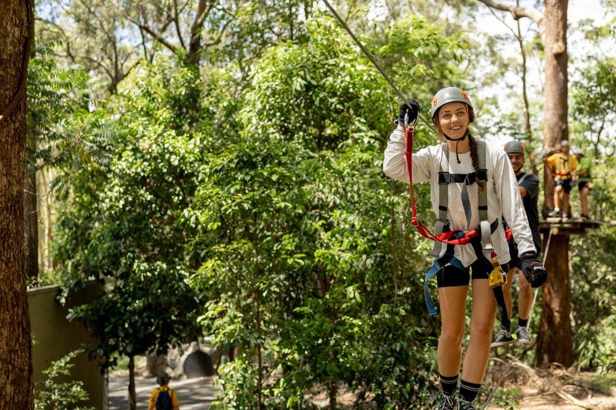 TreeTop Challenge – Currumbin Adventure Park A person wearing a helmet and harness smiles while zip-lining through a forest, with others waiting on a platform in the background.