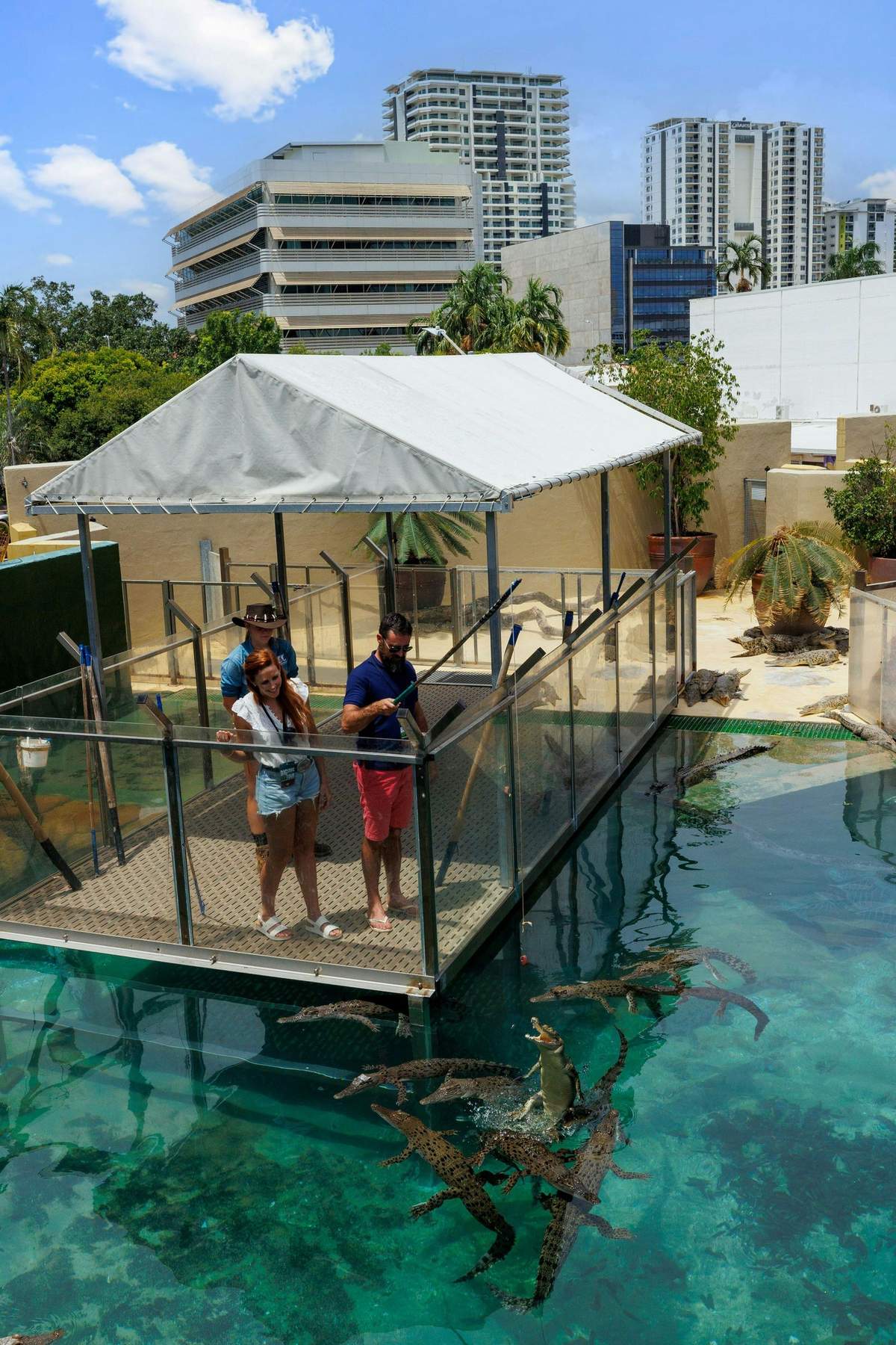 Big Croc Encounter VIP Tour Three people standing on a platform over water, feeding fish to crocodiles below in an outdoor enclosure with modern buildings in the background.