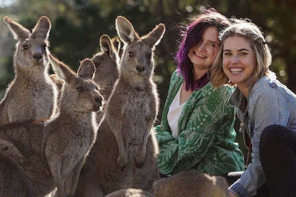 Symbio Wildlife Park: Entry Ticket Symbio1