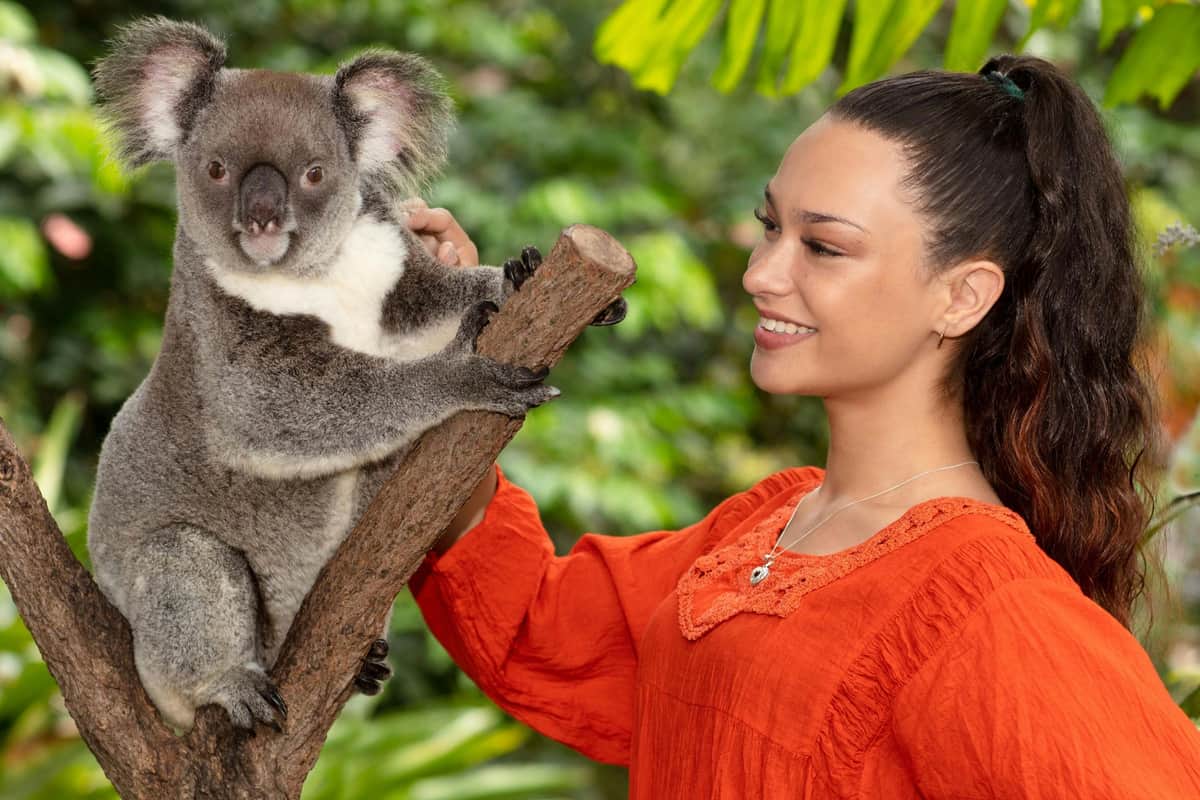 Kuranda Koala Gardens & Birdworld Kuranda: Entry Ticket A person in an orange top smiling at a monkey on a branch, with green foliage in the background.