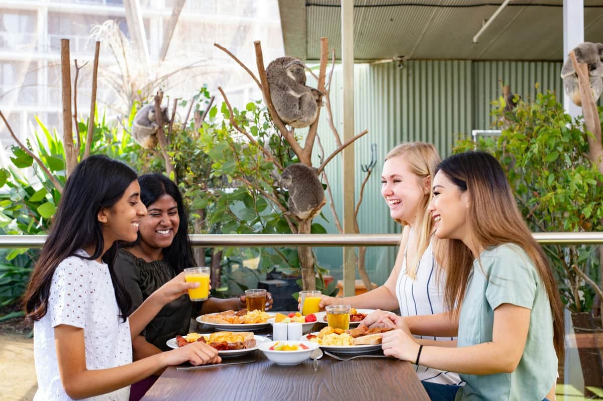 WILD LIFE Sydney: Breakfast with the Koalas Breakfast with the Koalas