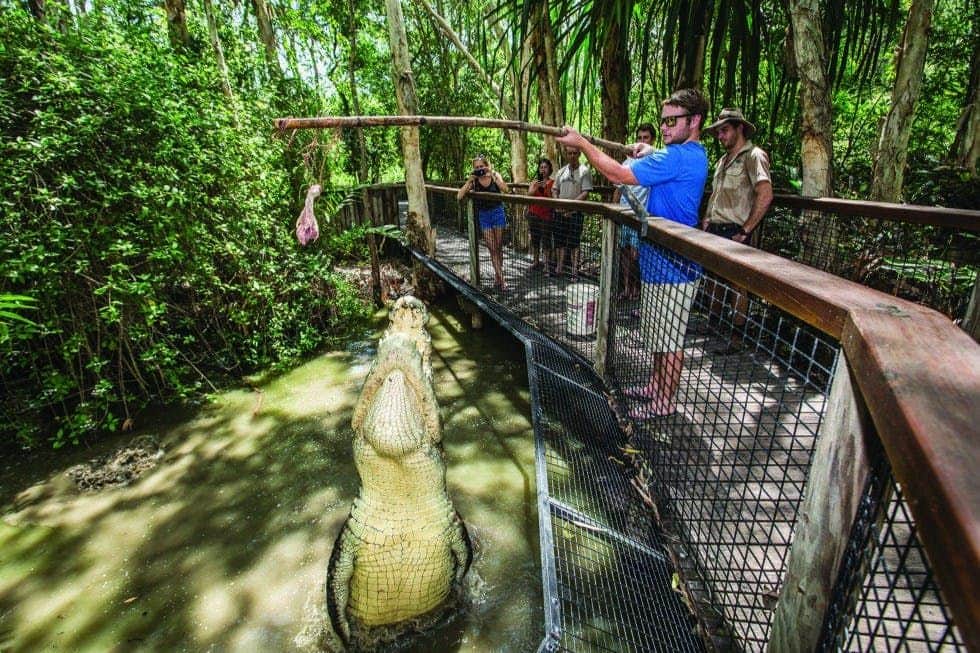 Hartley's Crocodile Adventures: Entry Ticket Hartley's Crocodile Adventures