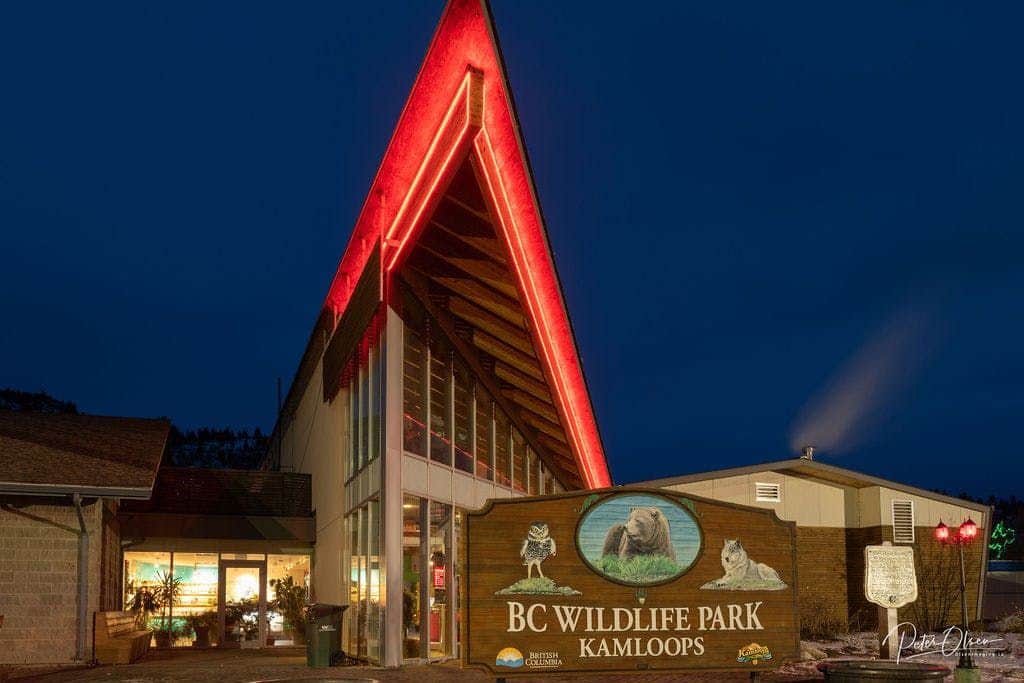 BC Wildlife Park: Entry Ticket A building with a tall, peaked roof illuminated with red lights, and a sign reading "BC Wildlife Park Kamloops" at the front.