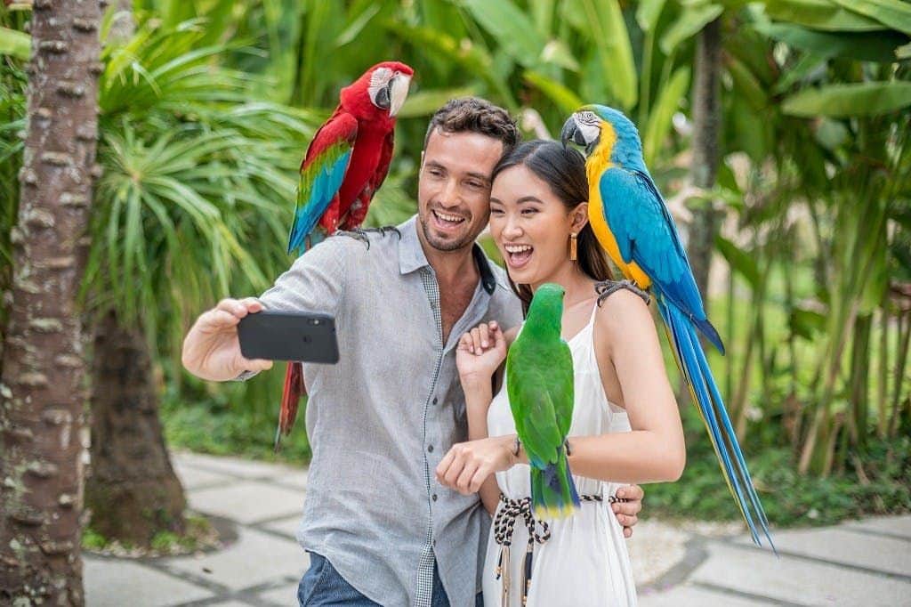 Bali Bird Park: Entry Ticket Bali Bird Park