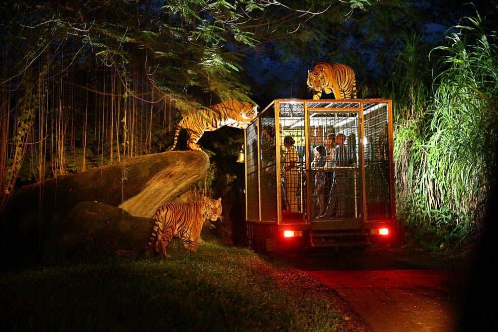 Bali Safari & Marine Park: Night Safari Three tigers surround and climb on a caged vehicle with people inside, set in a nighttime jungle environment.