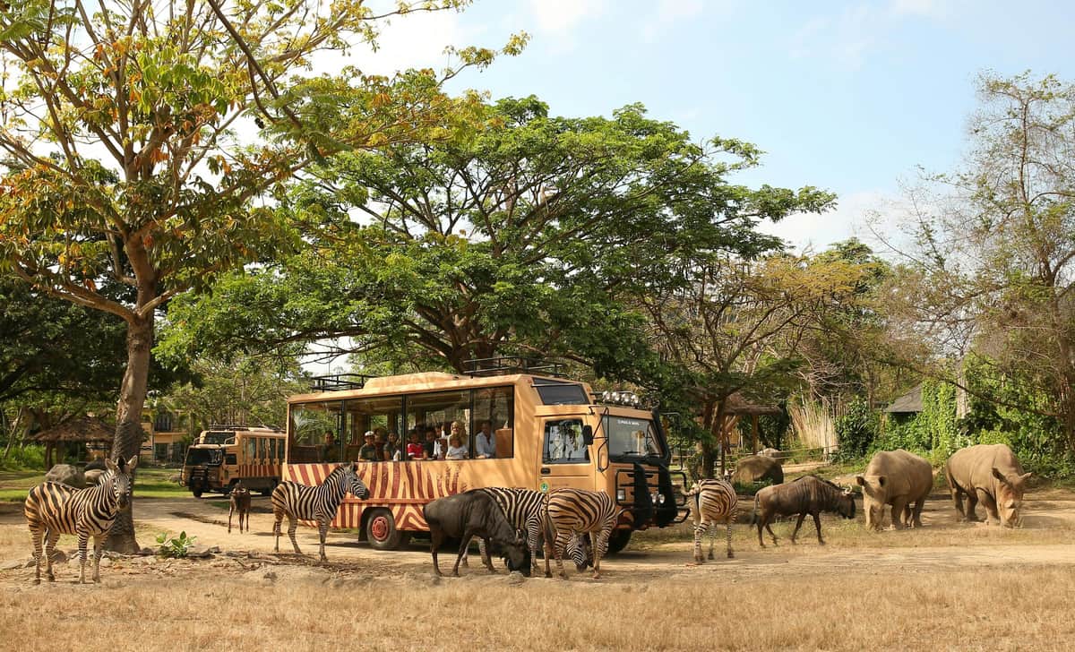 Bali Safari: Day Pass A safari vehicle with people inside is surrounded by zebras and wildebeests in a grassy, tree-filled area.