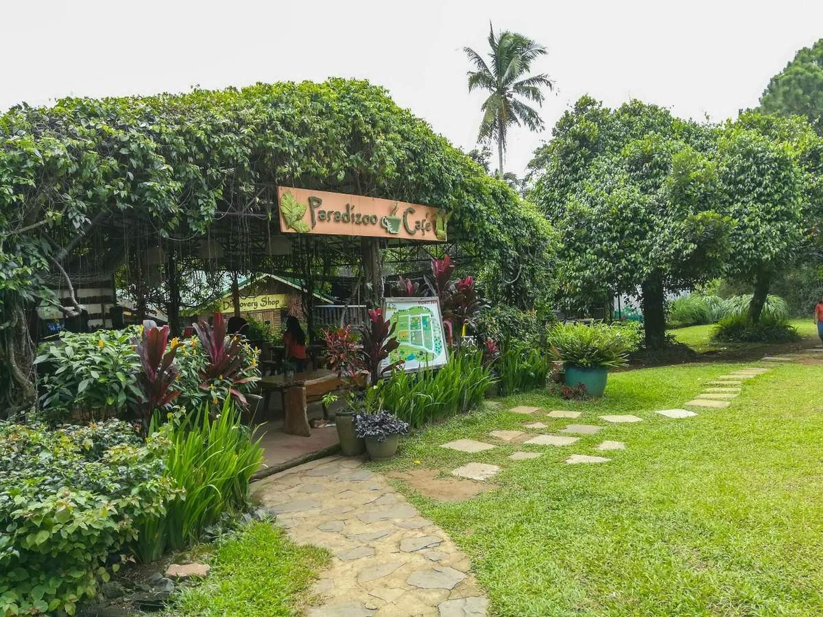 Paradizoo Tagaytay: Bilhete de entrada Um café ao ar livre exuberante chamado Paradizoo Café, com uma copa verdejante e frondosa, rodeado de plantas e com um caminho no jardim que conduz até lá.