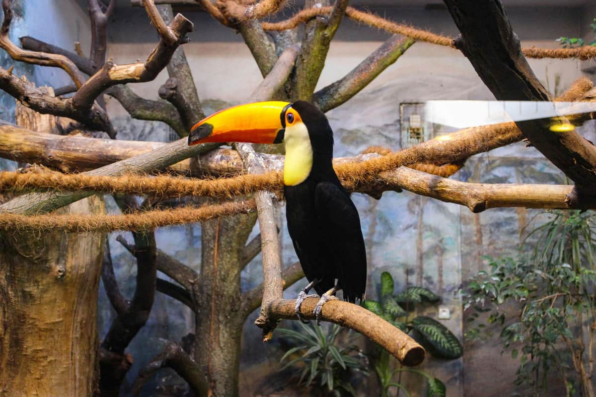 Warsaw Zoo Park with Private Transport Zoo
