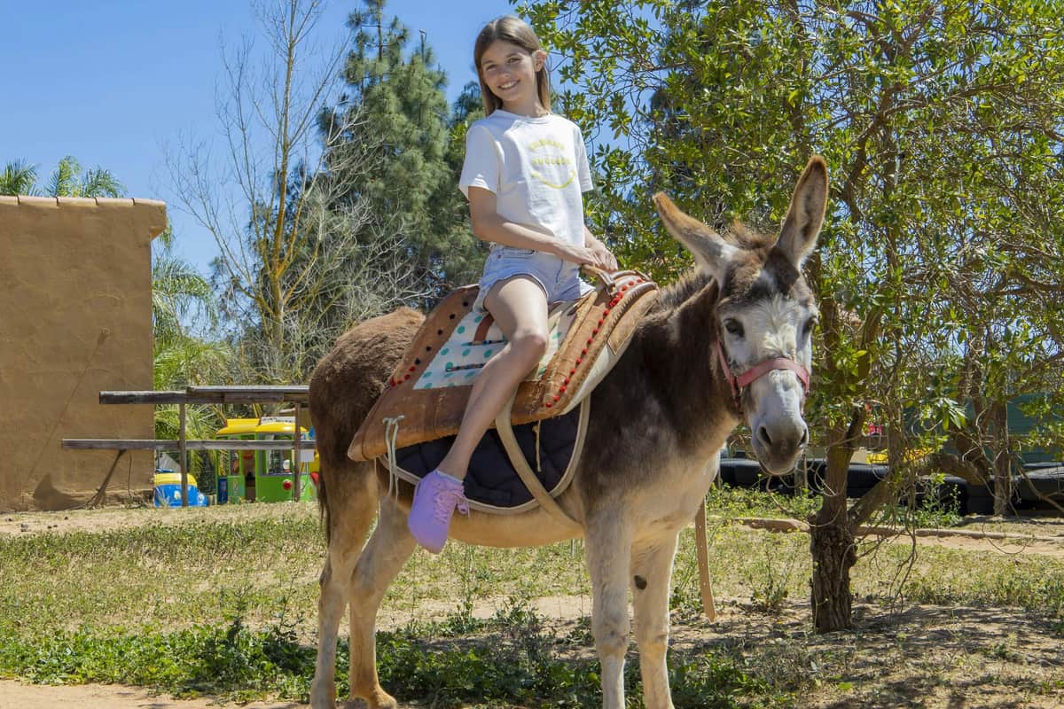 Krazy World Algarve Park: Entry Ticket pedal kart