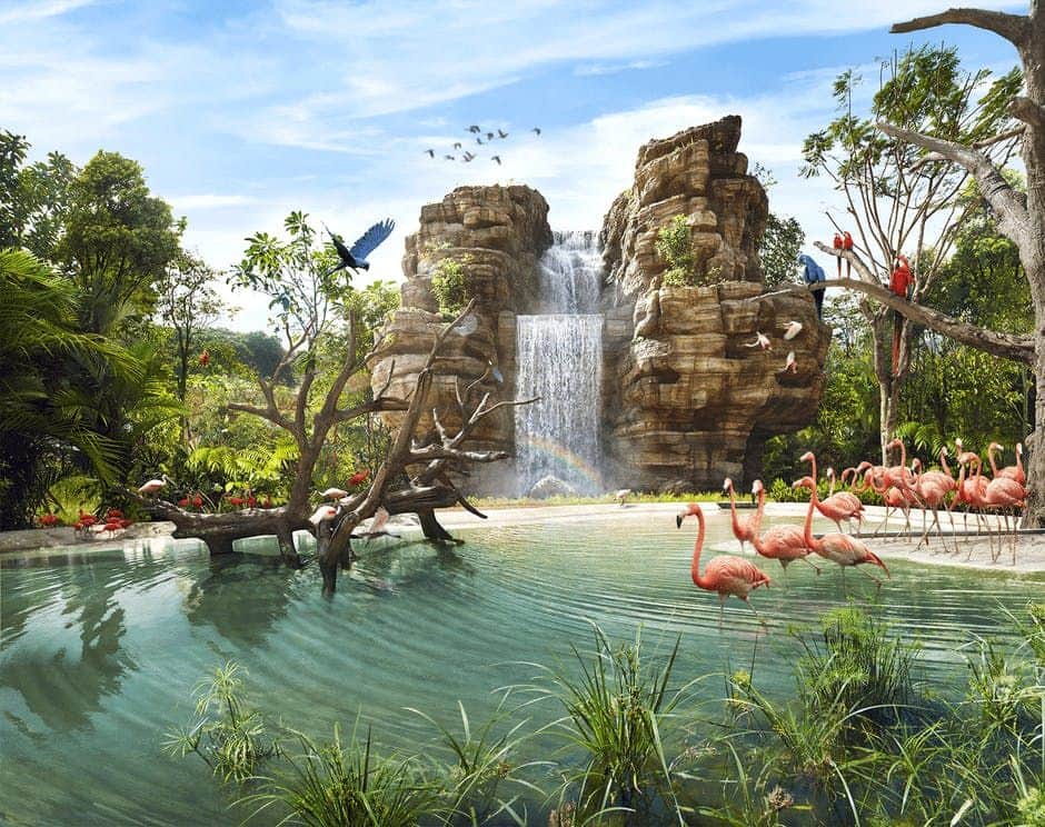 Il paradiso degli uccelli di Singapore La cascata scorre sulle rocce fino allo stagno con fenicotteri, alberi e uccelli colorati in un paesaggio verde e lussureggiante sotto un cielo azzurro.