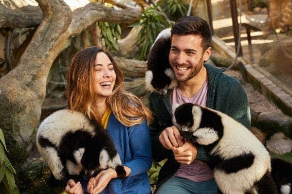 Mundomar Benidorm: Skip The Line Ticket A man and a woman are smiling whilst holding black and white lemurs, with foliage and tree branches in the background.