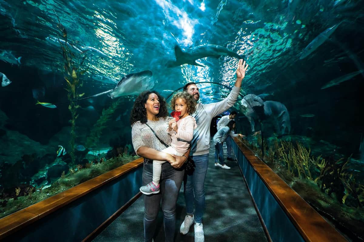 Loro Parque: Entry Ticket A family of three enjoys an aquarium tunnel, with sharks swimming overhead and vibrant marine life surrounding them.