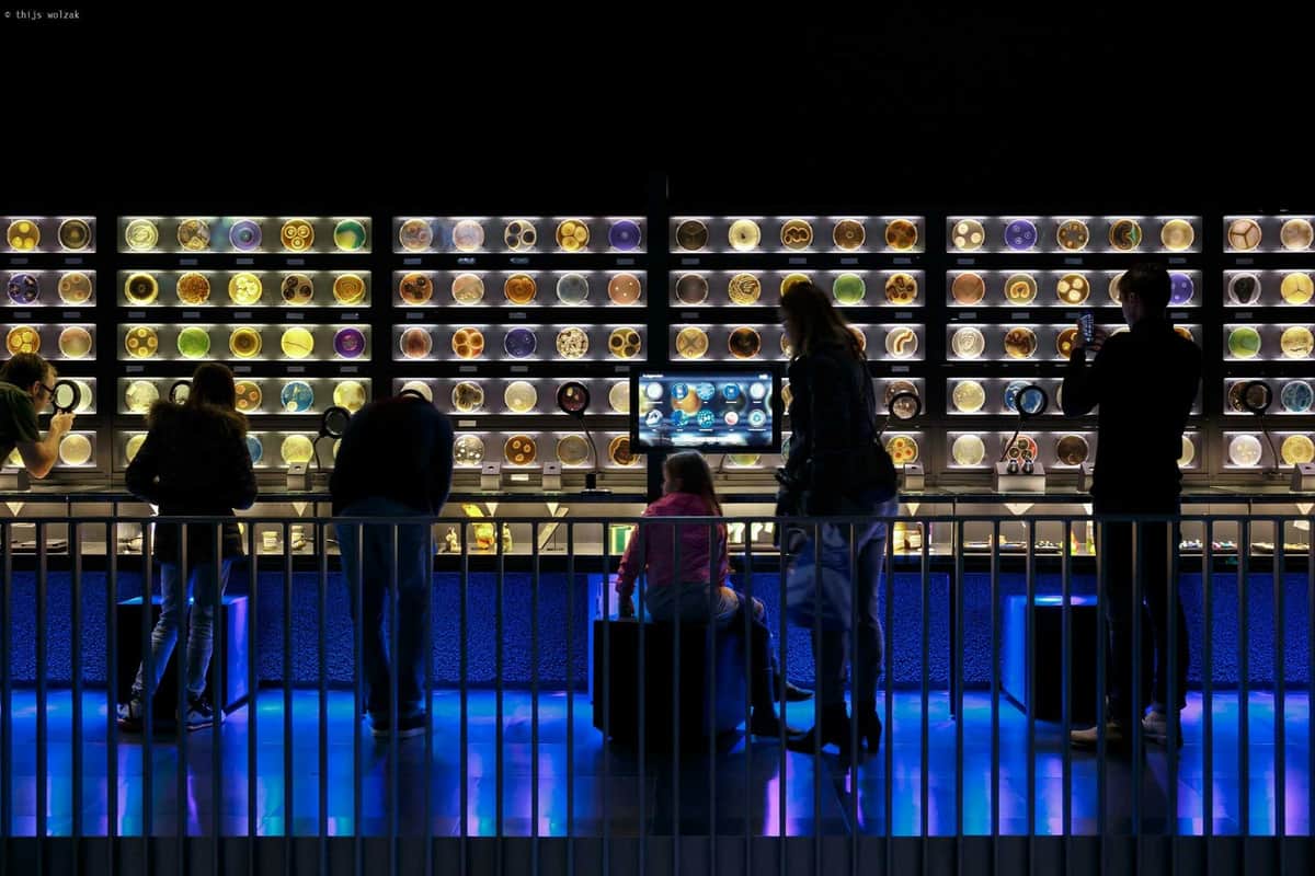 ARTIS Amsterdam Royal Zoo & Micropia: Skip The Line Entry Ticket People observing a display of circular objects on illuminated shelves in a dark room with a blue-lit ambiance.