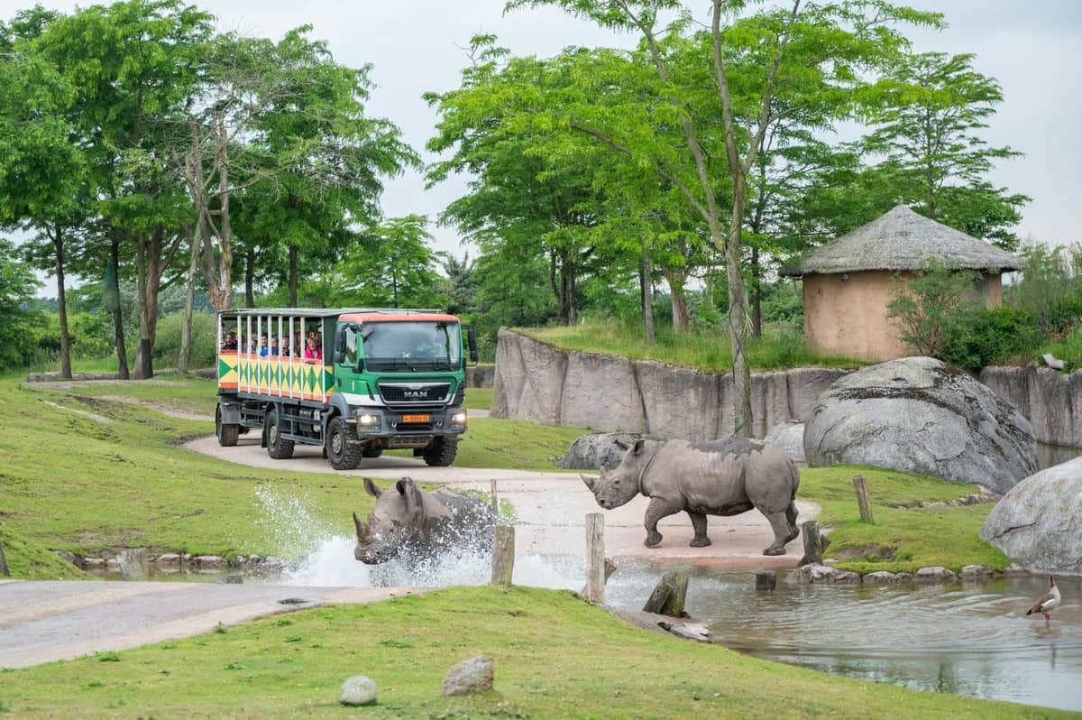 WILDLANDS: Entry Ticket A safari truck with visitors watches two rhinos near a pond, one rhino splashing through the water in a green, tree-filled environment.