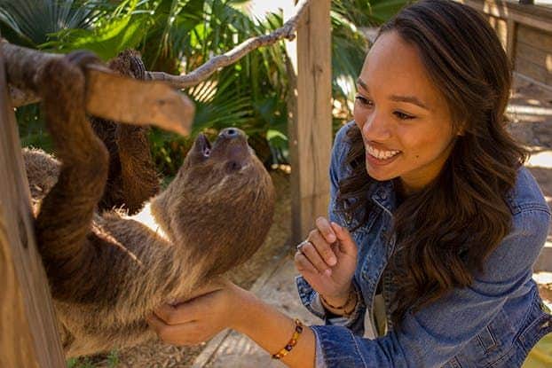 Wild Florida Gator Park Admission A smiling woman in a denim jacket interacting with a sloth in an outdoor, tropical setting.
