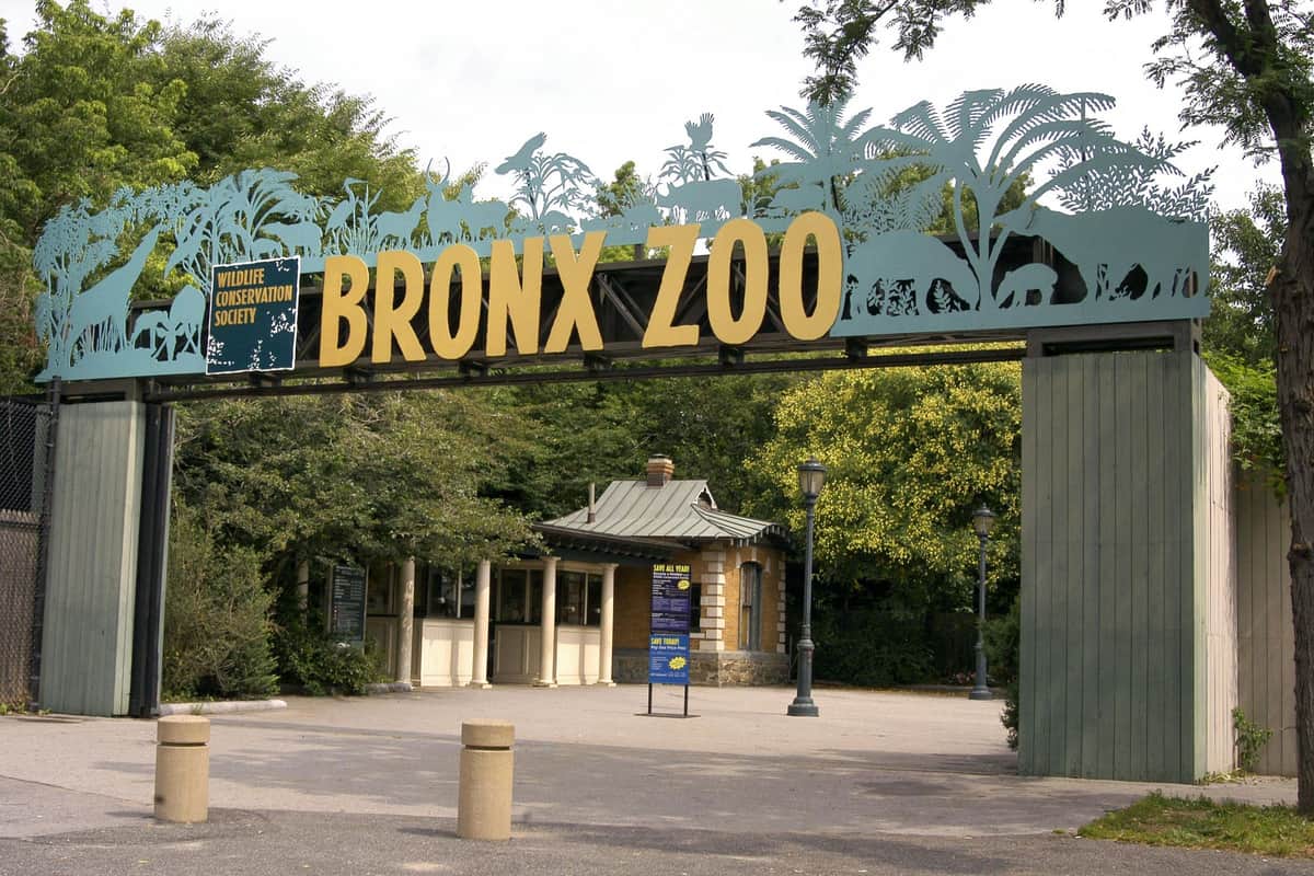 Bronx Zoo: Entry Ticket Entrance gate of Bronx Zoo with large, yellow letters on top. Green foliage and a ticket booth are visible in the background.