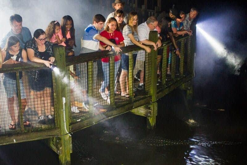 Gatorland Orlando: Gator Night Shine Group of people, mostly teens, leaning over a wooden bridge, shining flashlights into dark water below.