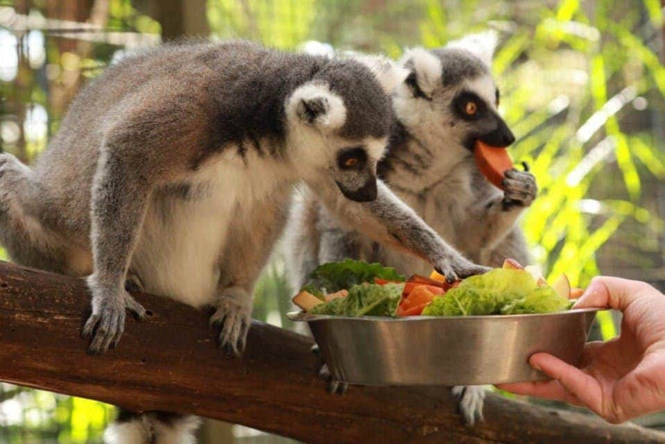 Gorge Wildlife Park Gorge Wildlife Park