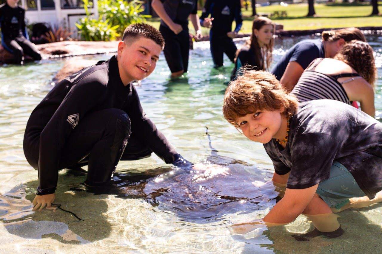 Irukandji Shark & Ray Encounters Children in wetsuits interact with a stingray in a shallow pool, surrounded by other people.