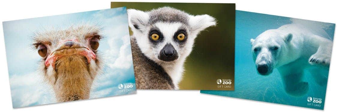 Toronto Zoo Three Toronto Zoo gift card designs featuring an ostrich, a lemur, and a polar bear underwater, each with a logo.
