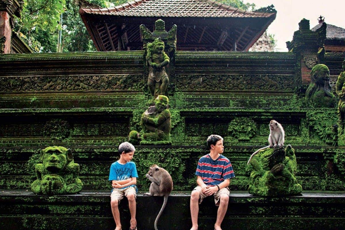 Sacred Monkey Forest Sanctuary Ubud Monkey Forest