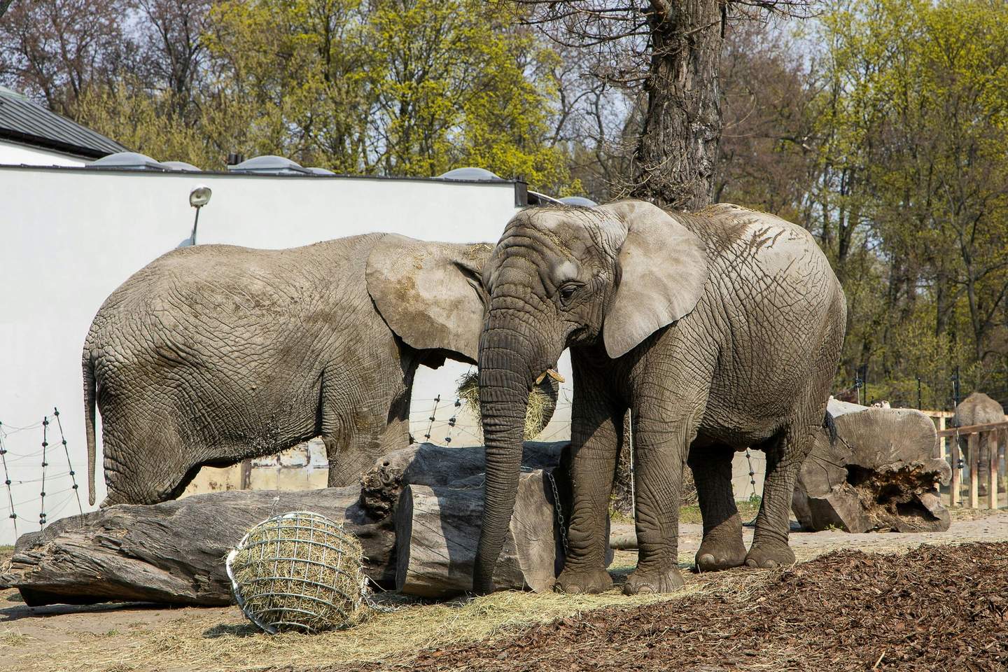 Warsaw Zoo Park Zoo