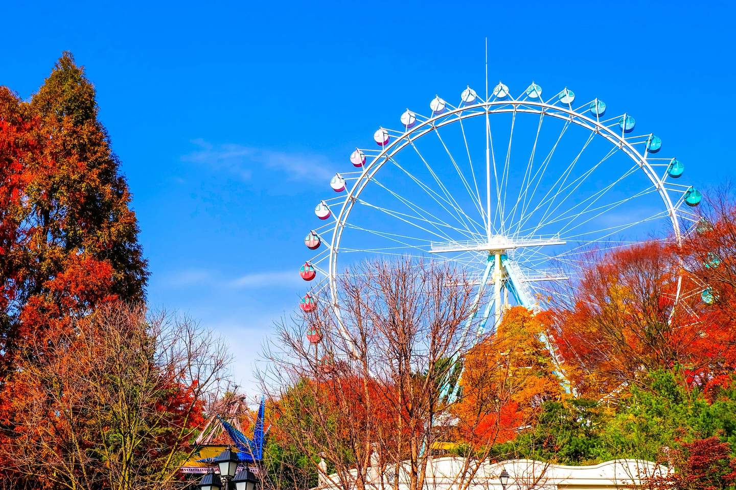 Ferris wheel with colorful gondolas amid autumn trees under clear blue sky.