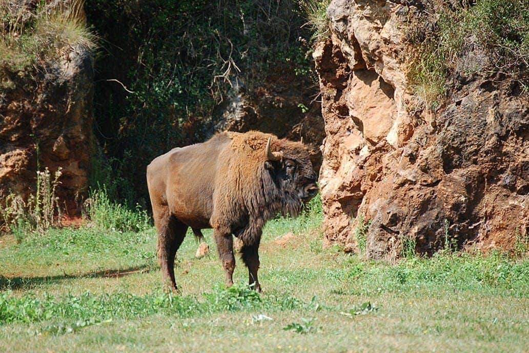 Cabárceno Nature Park Parque de Cabarceno