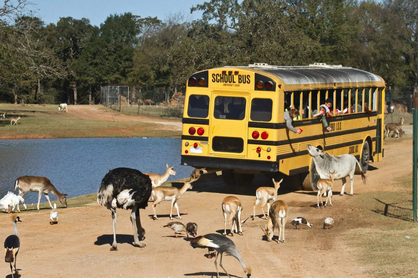 Franklin Drive Thru Safari Schools