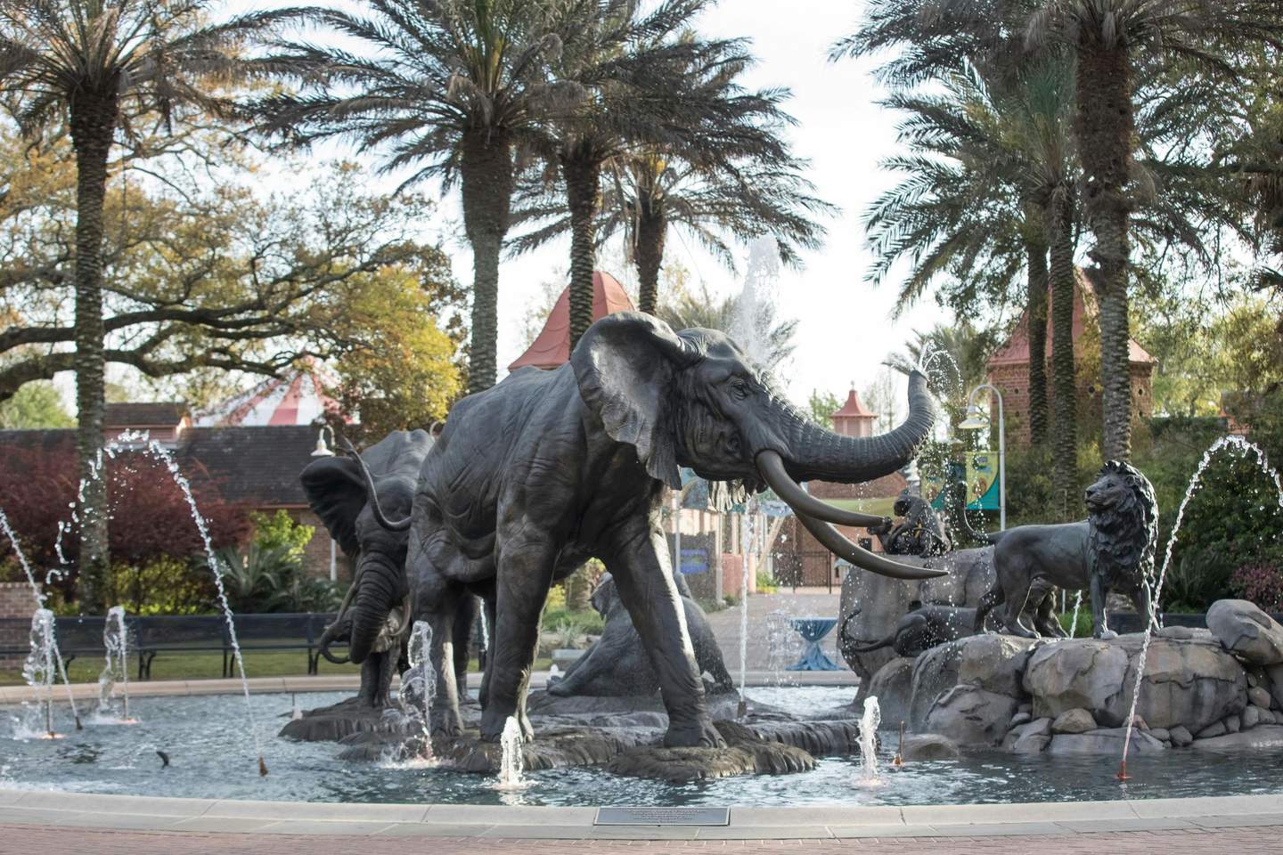 Audubon Zoo Cooper Fountain