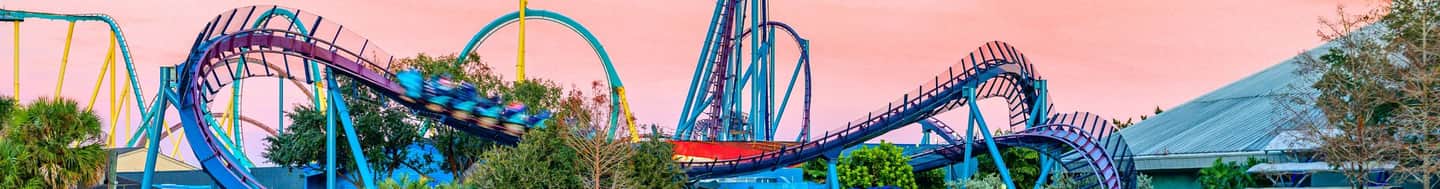 SeaWorld Orlando Colorful roller coaster with loops and twists, set against a pink sky, surrounded by trees and buildings.