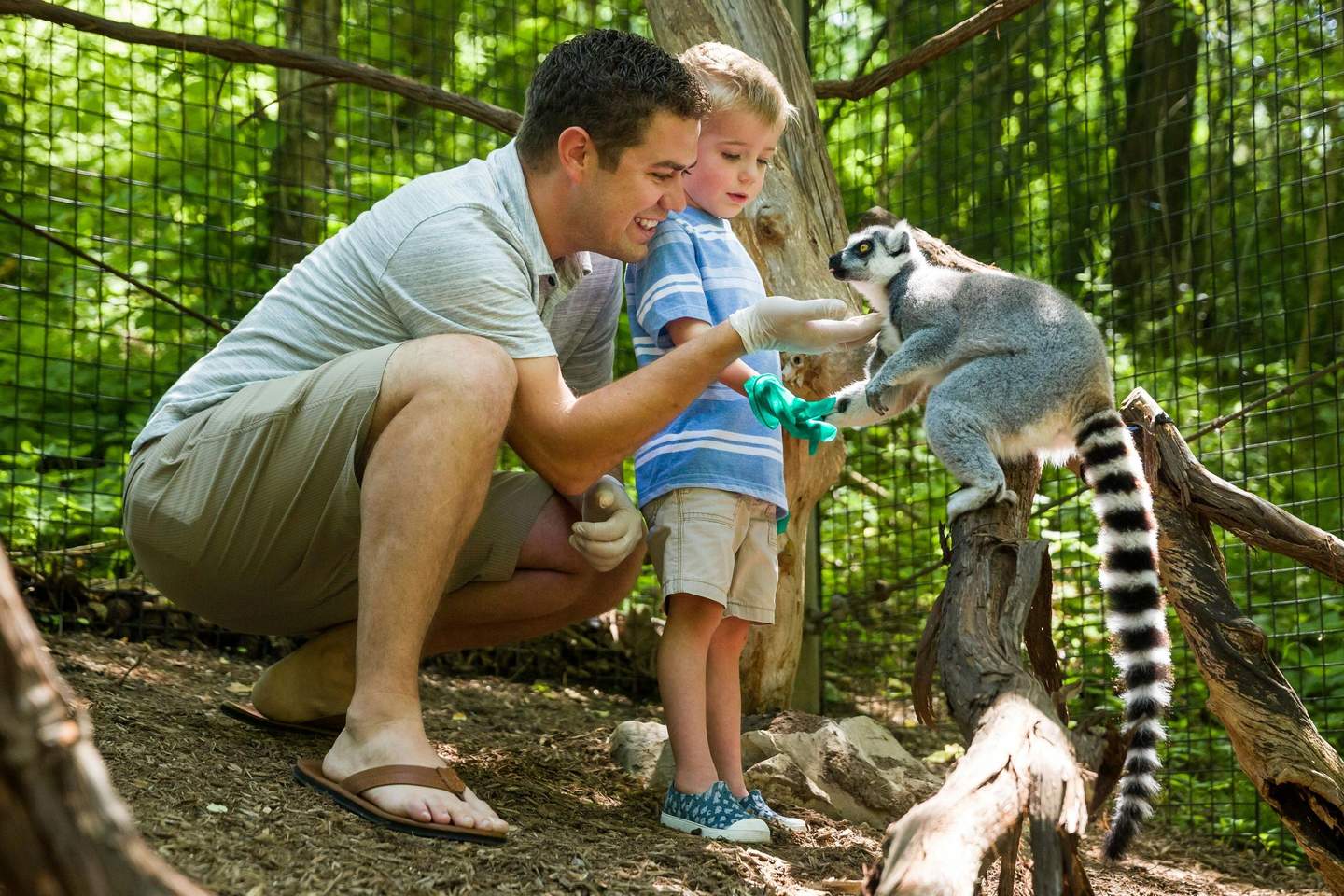 Oglebay Good Zoo Guests participating in lemur encounter.