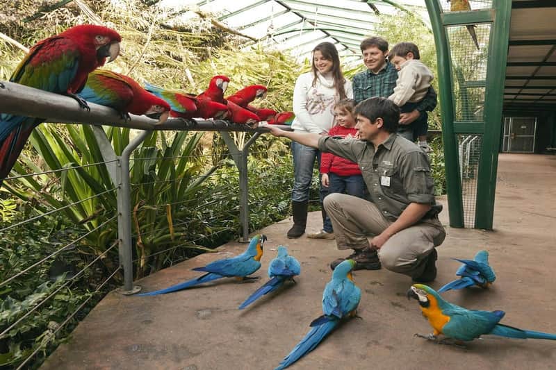 Temaikèn Zoo: Entrance & Transport from Buenos Aires
