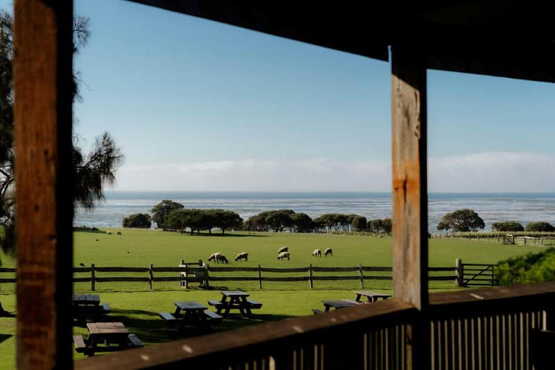 Phillip Island: Churchill Island Entry Ticket