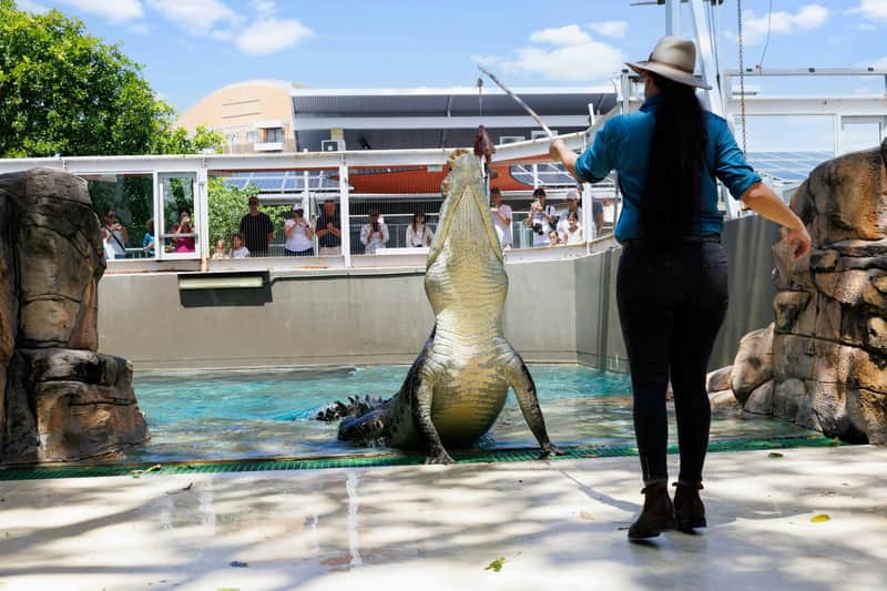 Crocosaurus Cove: Entry Ticket