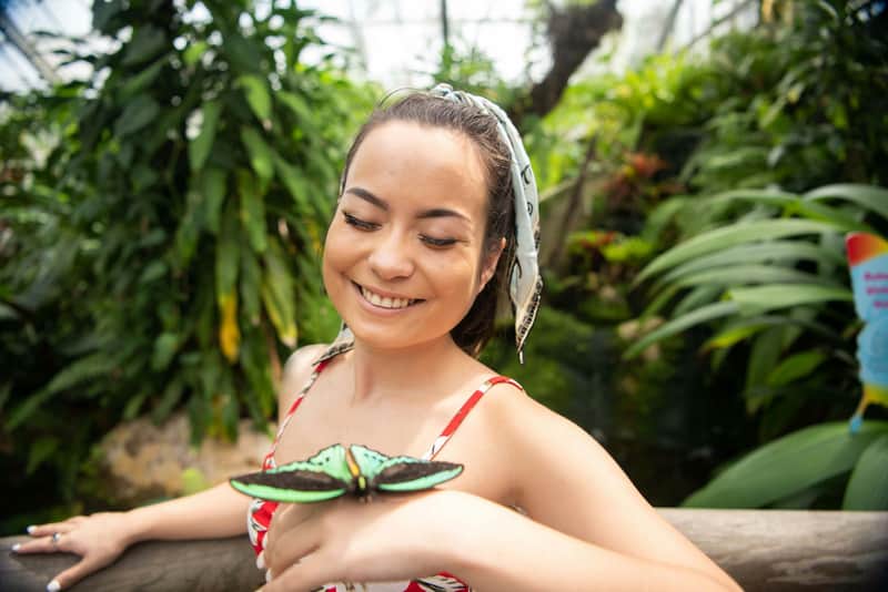 Australian Butterfly Sanctuary: Entry Ticket