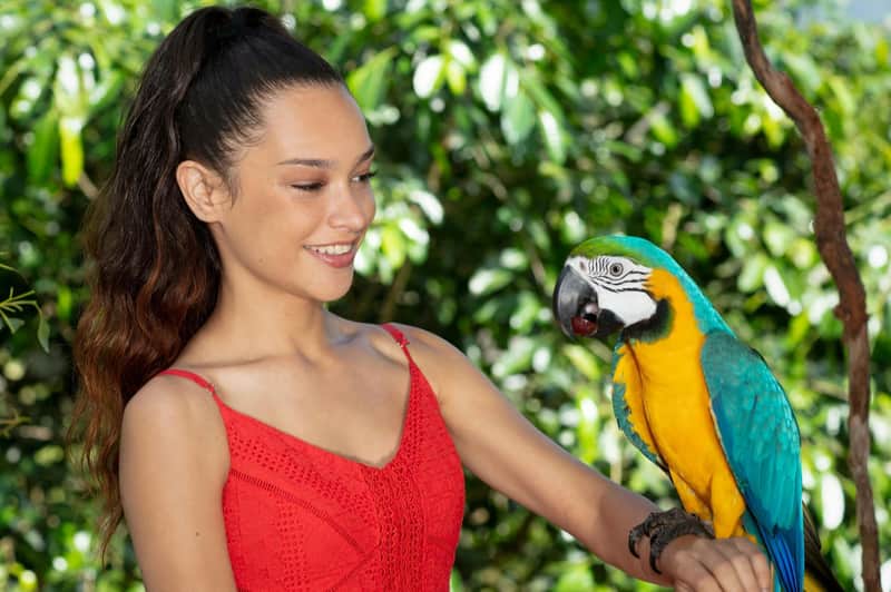 Birdworld Kuranda: Entry Ticket