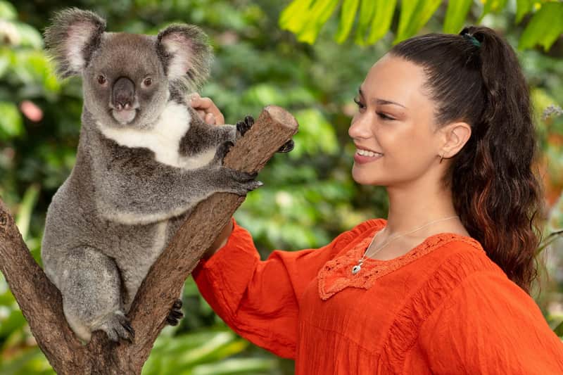 Kuranda Koala Gardens & Birdworld Kuranda: Entry Ticket