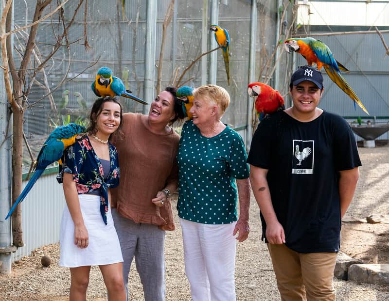 Maleny Botanic Gardens & Bird World: Entry Ticket