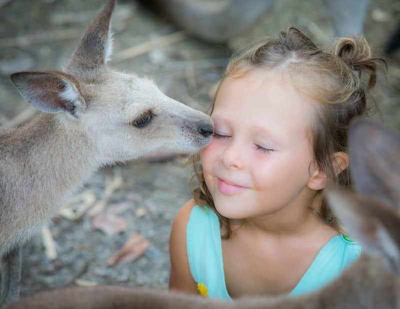 Port Douglas Wildlife Habitat