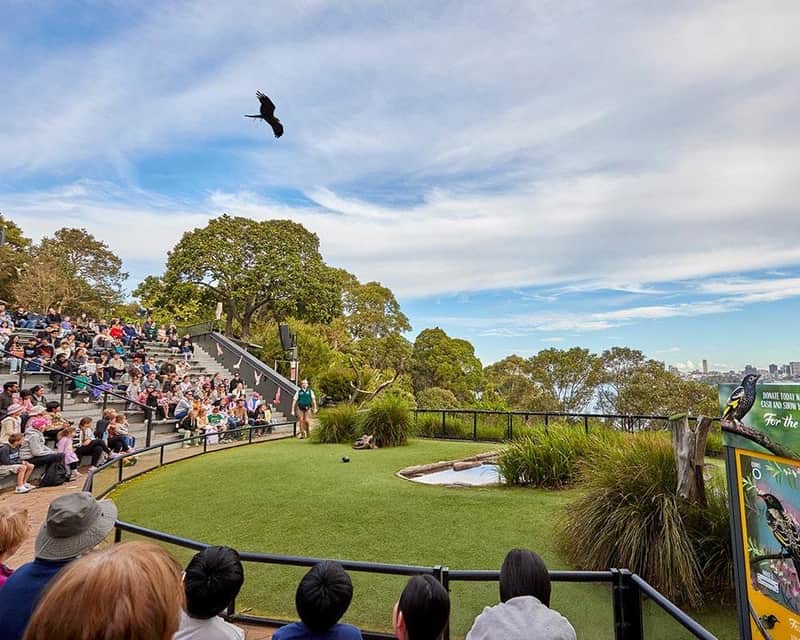 Taronga Zoo Sydney: Entry Ticket Taronga Zoo Sydney: Entry Ticket