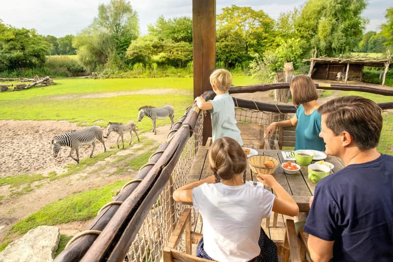 Leipzig Zoo + Travel Card "Leipzig (Zone 110)" Leipzig Zoo + Travel Card "Leipzig (Zone 110)"