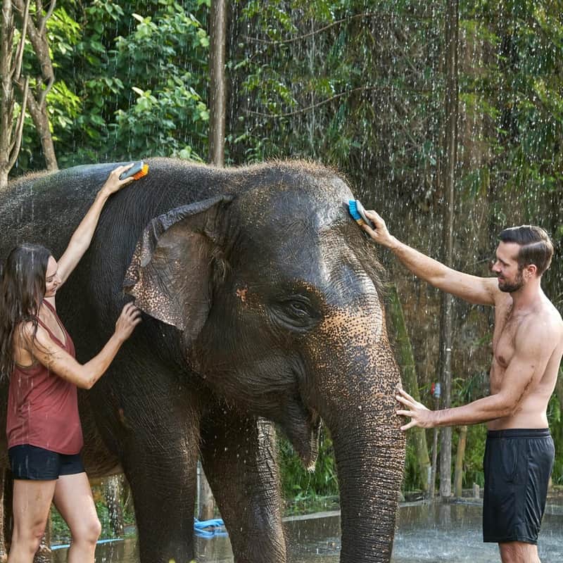 Bali Zoo: Toegangsticket