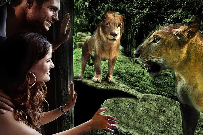 Bali Zoo: Entry Ticket