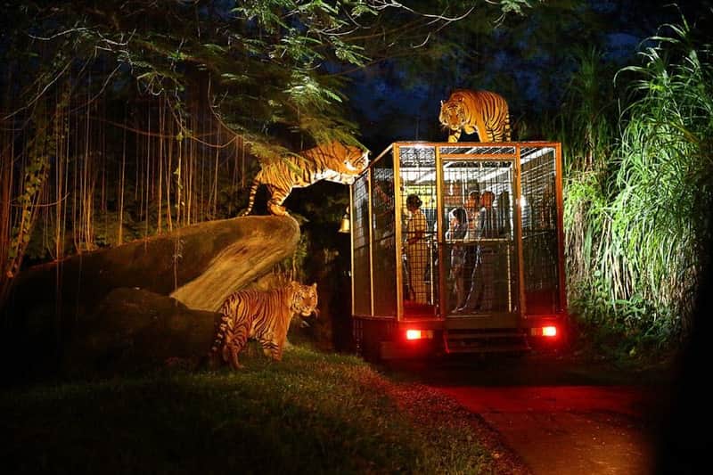Bali Safari & Marine Park: Night Safari