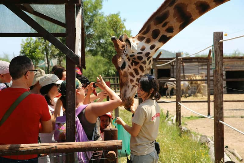 Zoo de Abruzzo: Entrada