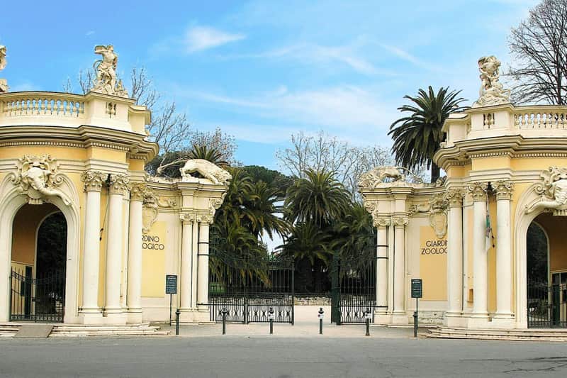 Bioparco di Roma: Entry Ticket + Tramezzino Bioparco di Roma: Entry Ticket + Tramezzino