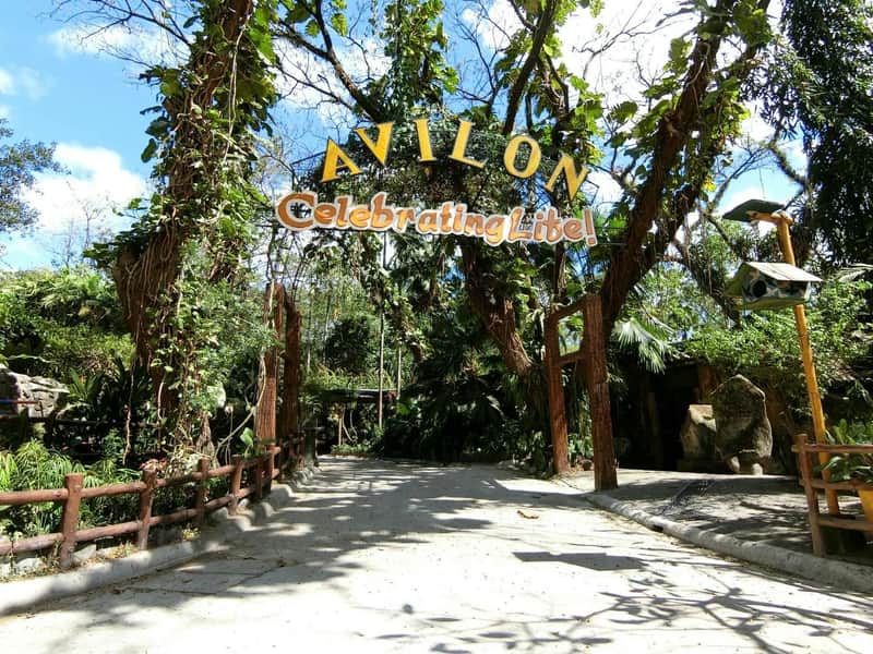 Avilon Zoo: Group Bundle Entry Ticket - Buy 3, Get 1 Free