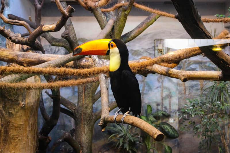Warsaw Zoo Park with Private Transport